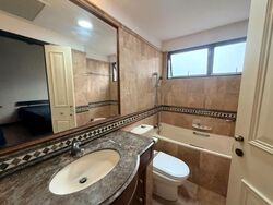 Dover Parkview (D5), Condominium #591441871